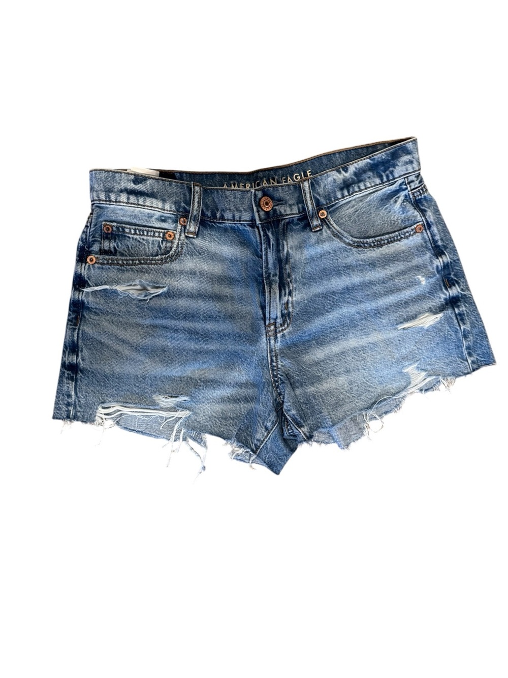 American Eagle Outfitters Distressed Light Blue Denim Cutoff Shorts